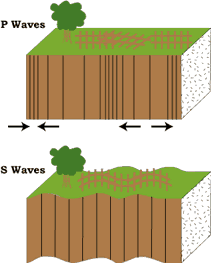 P and S Waves. SOURCE: U.S. Geological Survey